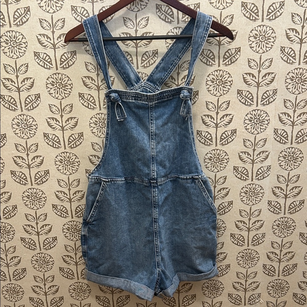 Aerie Blue Denim Overalls